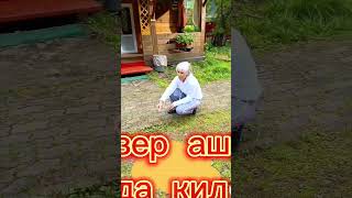 турбаза Глобус+ ...горный Алтай 2023 г