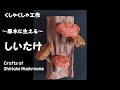 しいたけ工作（原木に生えるしいたけ）～くしゃくしゃ工作～　crafts of  Shiitake mushrooms（10・11月・実りの秋）（簡単）（高齢者レク）（壁面飾り）（季節）（創作）（保育）
