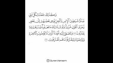 القارئ سعد الغامدي - سورة الأنعام - من الآية 112 إلى الآية 113