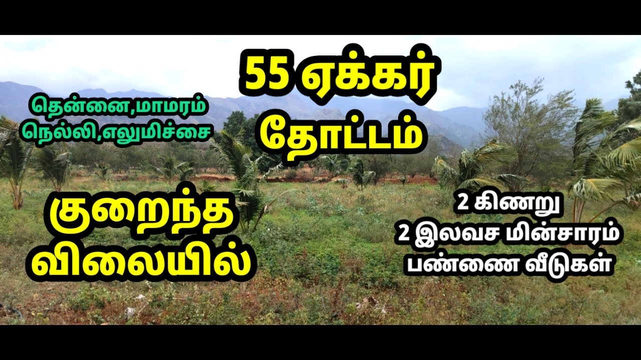 குறைந்த விலையில் 55 ஏக்கர் செழிப்பான தோட்டம் 