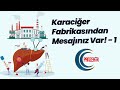 Karaciğer-1: "Yaratan vardır ve alimdir, doğada dayanışma hakimdir."