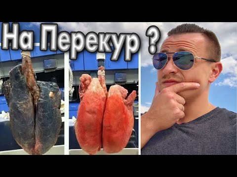 4 способа восстановить легкие после курения | Курение кальяна, вейпа, самокруточного табака