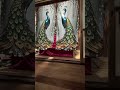 Recreating a stage curtain effect at home! #JapanHomeLab