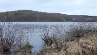 Spring hike on the Sunken Garden Trail at Moraine State Park