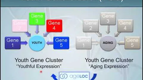 AgeLOC TR90   Gene Expression Science for weight loss   Robert Needleman