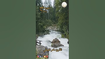 القارئ ماهر المعيقلي #انشروا_القران #elmulquranعلم #قرانالكريم