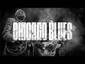 #078  Chicago Midnight Blues – Live Jazz &amp; Relaxing Blues Vibes #ブルースギター  #ブルースギター