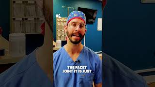 Ultrasound guided facet joint injections