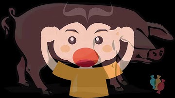 A "Pork" AAC Story: Creative AAC words, great communication experience from CoughDrop