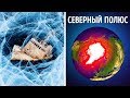 Почему невозможно выжить на Северном полюсе?