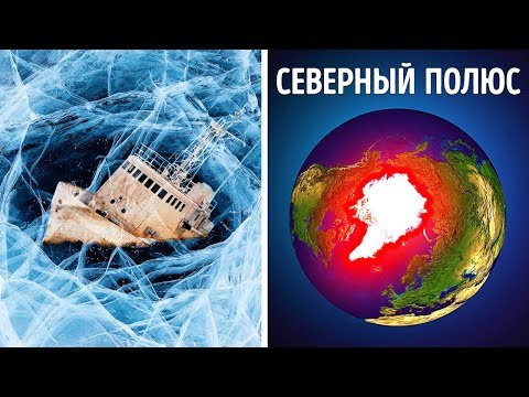 Почему невозможно выжить на Северном полюсе?