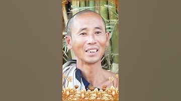 Sư Minh Tuệ Nói Đoàn Văn Báu Là Hổ Thì Không Thể Đi Chung Với Nai