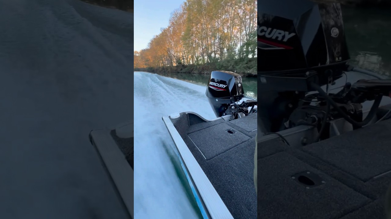 30hp Mercury FourStroke