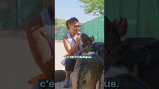 7 ans de prison pour cruauté animale : les USA frappent fort ! 🇺🇸⚖️