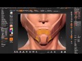 Tutorial HardSurface Zbrush Ita - parte2 - retopology