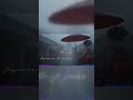 Fluctuations of Rain 🌧️ Japanese Lofi Jazz