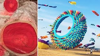 🪁 Most Satisfying video | Amazing Things You Have Never Seen