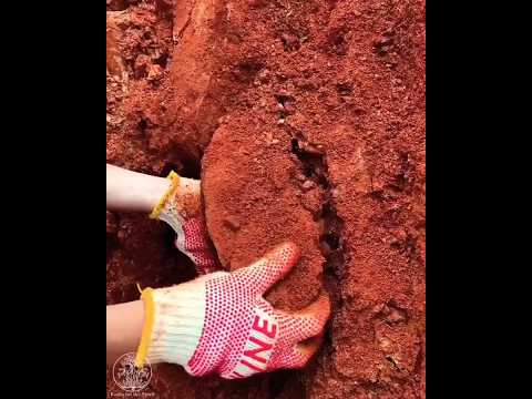 finding a foot