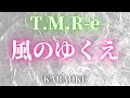 【カラオケ】風のゆくえ / the end of genesis T.M.R. evolution turbo type D