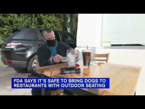 Videó: Pet Scoop: Nő hordozza a sérült kutya lejtős hegyét, az FDA új állateledel-szabályokat javasol