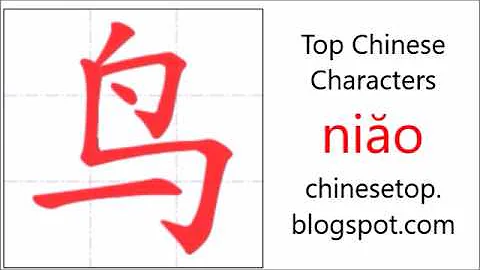 汉字[鸟]的笔顺