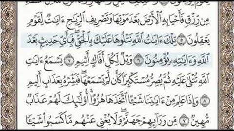 سورة الجاثية الصفحة 499 من الاية 1 الى 13 عبدالباسط عبدالصمد مجود