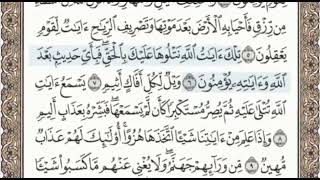 سورة الجاثية الصفحة 499 من الاية 1 الى 13 عبدالباسط عبدالصمد مجود