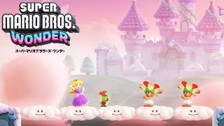 ペーパーマリオ　ワンダー Super Mario Bros. The Movie Bowser 8 Deluxe Action Figure