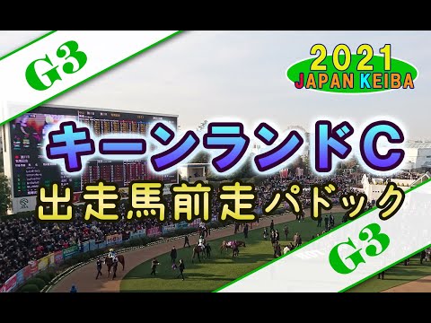 【競馬パドック】キーランドカップ・前走パドック（2021年）
