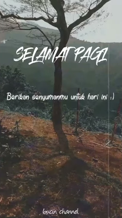 Story Wa terbaru || Ucapan selamat pagi 30 detik