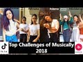 Top 10 Challenges Of Musically 2018 | Avneet, Manjull, Awez, Ashika, Mrunal