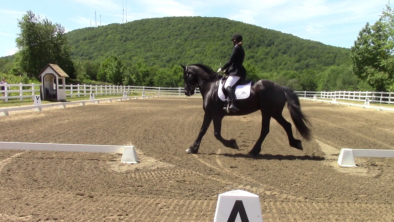 First Level Dressage Musical Freestyle Sandra Beaulieu and Friesian