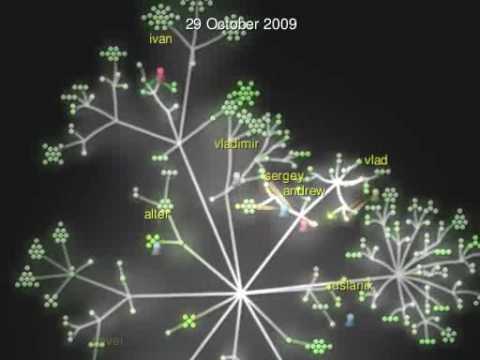 Gource software version control visualization - NewVisionTeam svn common repository (simsym.com)
