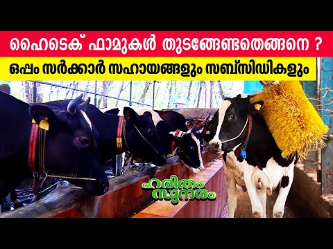 How to start Hi-Tech Dairy farm with minimum investment & earn MILLIONS | Haritham Sundaram EP 429