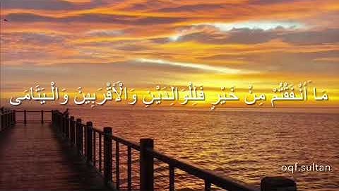 سورة:البقرة |آية:(215) صوت وكتابة: الشيخ ماهر المعيقلي