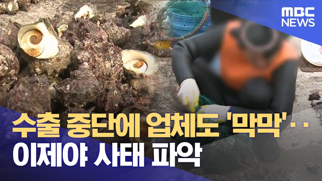 수출 중단에 업체도 '막막'‥ 이제야 사태 파악? (2025.12.24/뉴스데스크/제주MBC)