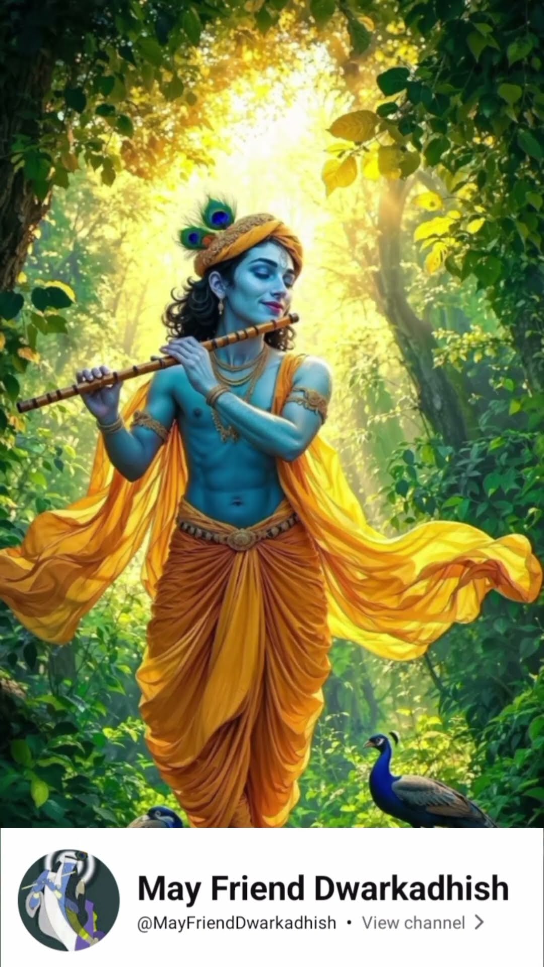 !!👑 જય દ્વારકાધીશ 👑!! - ShareChat