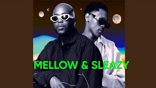 Mellow & Sleazy x Thuto The Human - Ke Dipatje | AMAPIANO