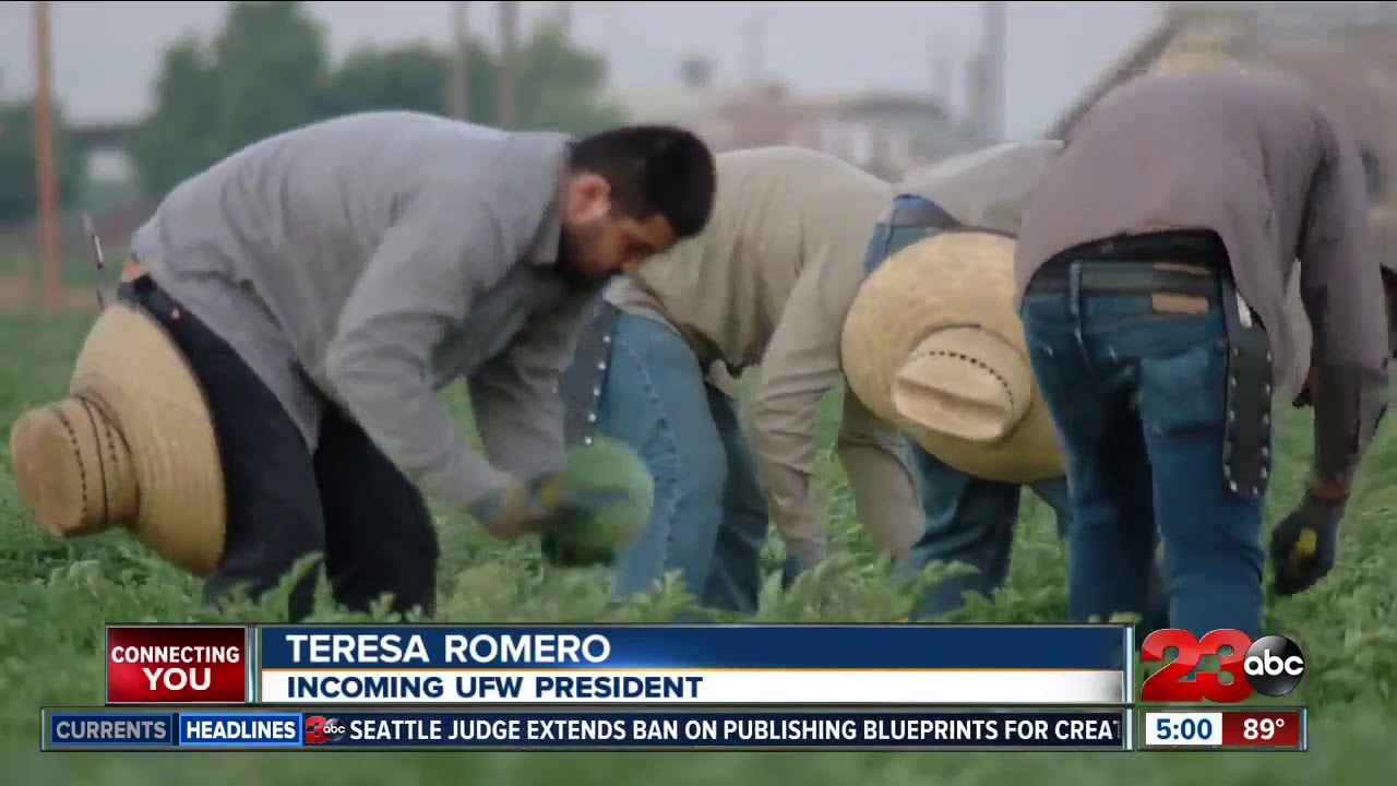 UFW announces new union president