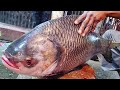 Big Katla Fish Cutting Skills By Expert Fish Cutter || BD Fishing &amp; Fish Cutting