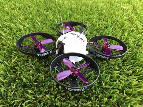 Blade Torrent 110 - Maiden Flight