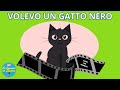Volevo un Gatto Nero [Canzoni per Bambini, Kids Songs. Kids Music, Baby Dance]