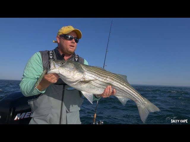 Casting & Jigging for Monomoy Stripers with Hogy EPOXY JIG Lures & SE  Barbarian Jigs 