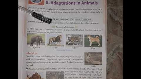 October Class IV science chapter 8 part 1 1589820256903