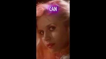 Tommy Tutone – The Song That Made 867-5309 Famous