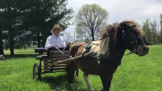 The Amish Thief (Part 1)