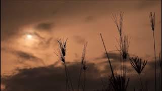 (background video) kesunyian senja yang indah...