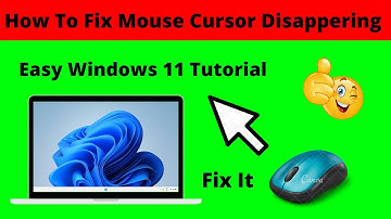 How To Fix Mouse Cursor Disappears  In Windows 11 | Mouse Pointer Not Showing [SOLUTION]