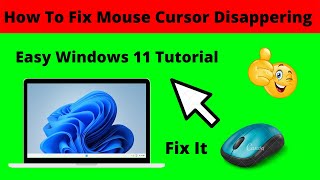 how to fix mouse cursor disappears  in windows 11 | mouse pointer not showing [solution]