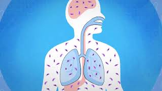 Почему микобактерия туберкулза размножается в организме?